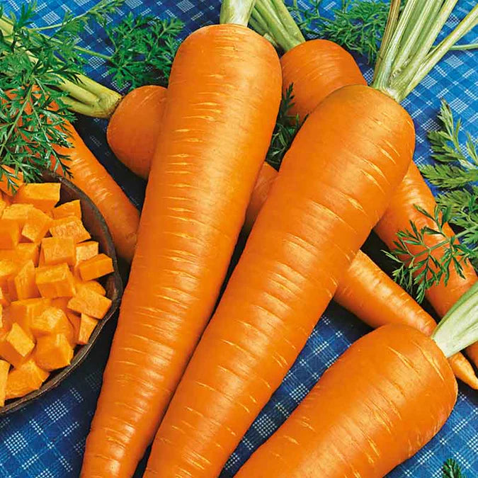Garden's Pulse Heirloom Seed Vault Kit (35 Pack)